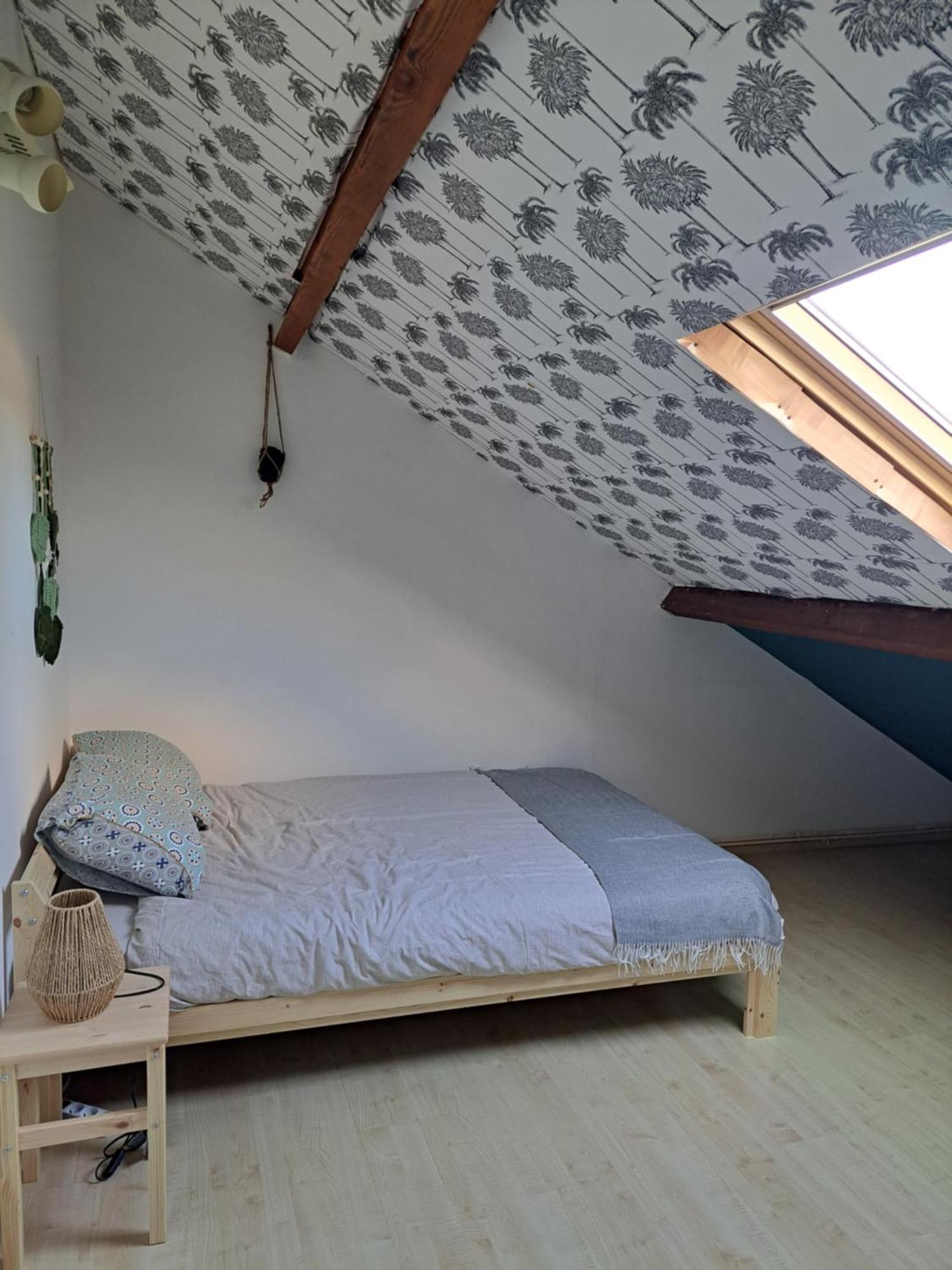 Dans Maison En Colocation Homestay